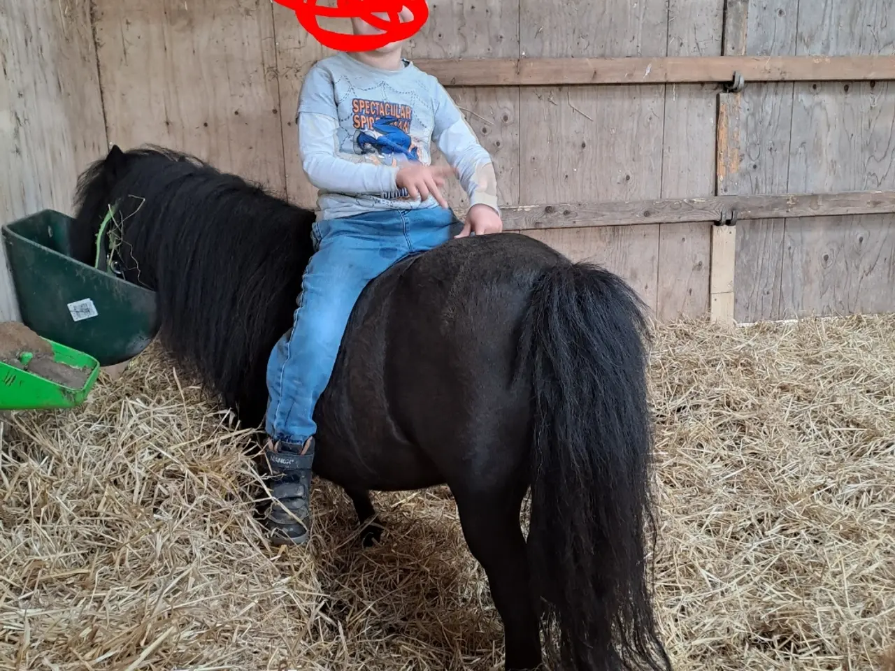 Billede 7 - verdens bedste begynder  Pony 