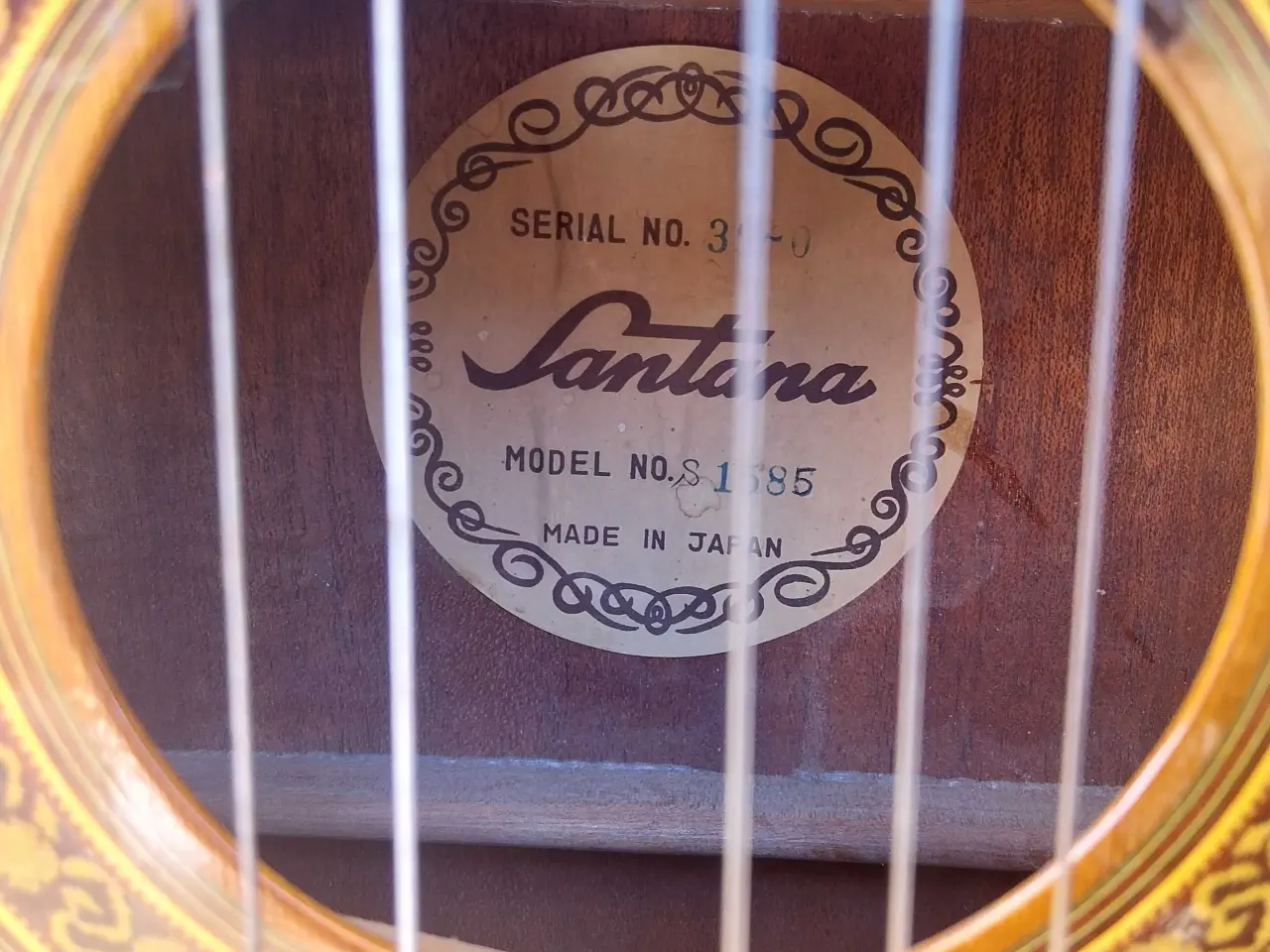 Billede 9 - Guitar. Santana
