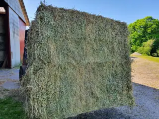 Hø I minibig