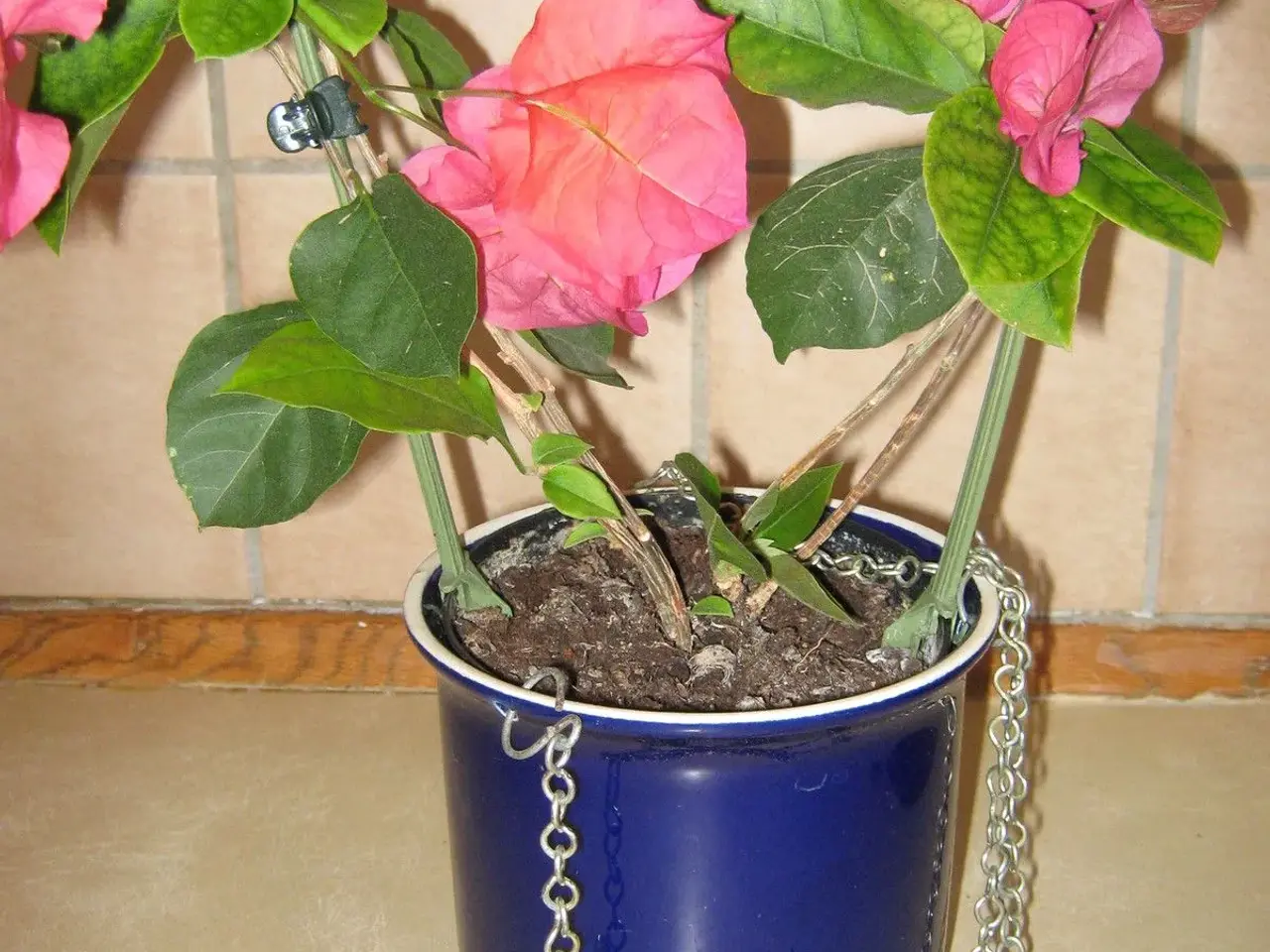 Billede 2 - Blomsterampler 3 stk.