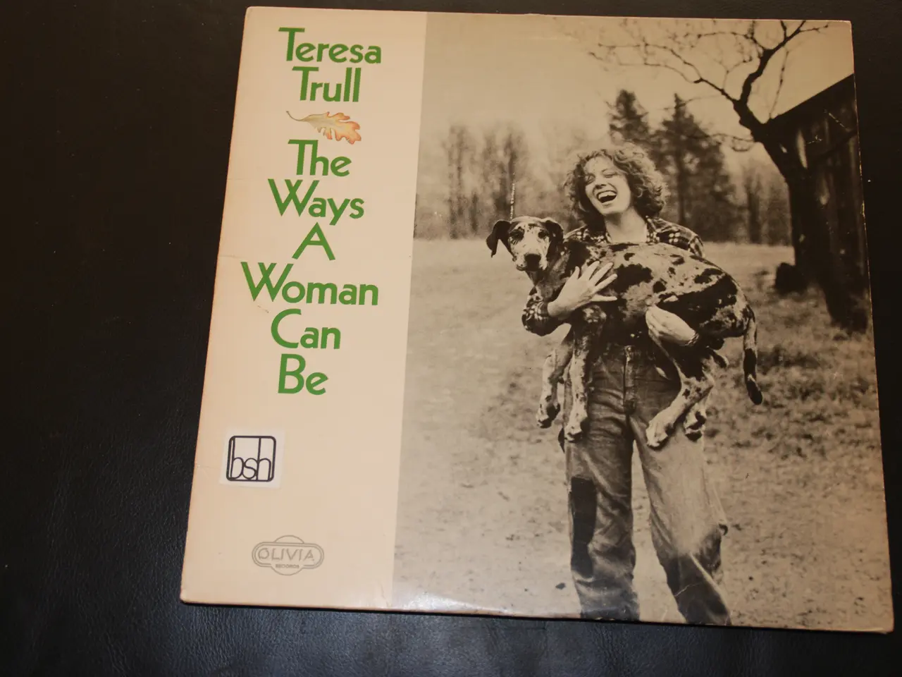 Billede 1 - Lp - Teresa Trull