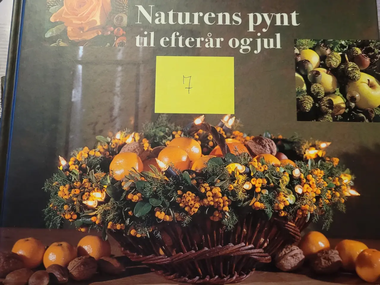 Billede 7 - Hanne Ploug