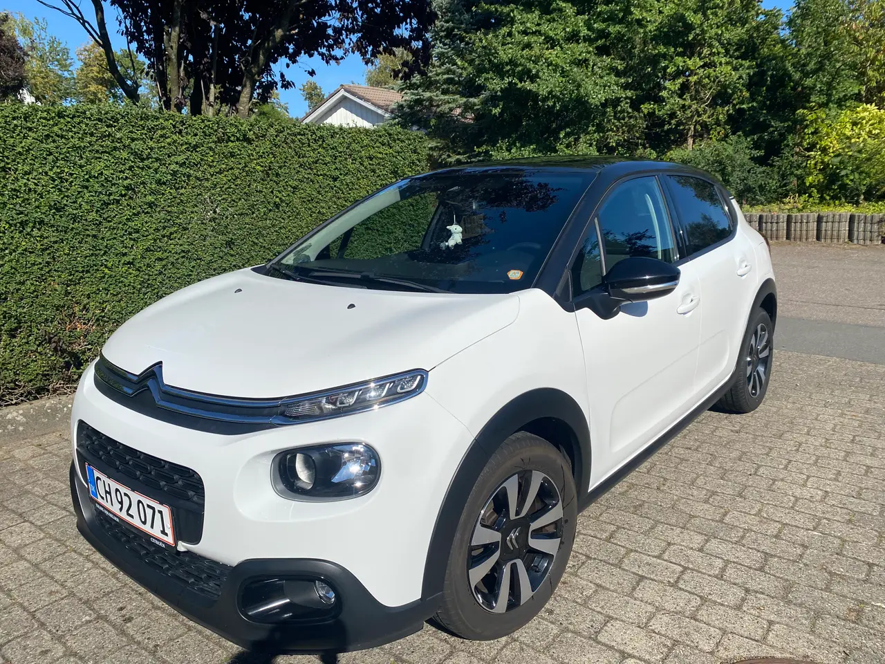 Billede 1 - Flot Citroen C3 1.5 Blue HDI Skyline