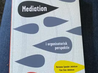 Mediation i organisatorisk perspektiv 