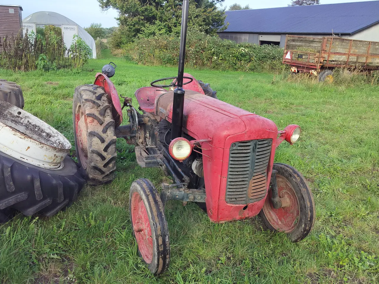 Billede 2 - Fin original guldfugl diesel