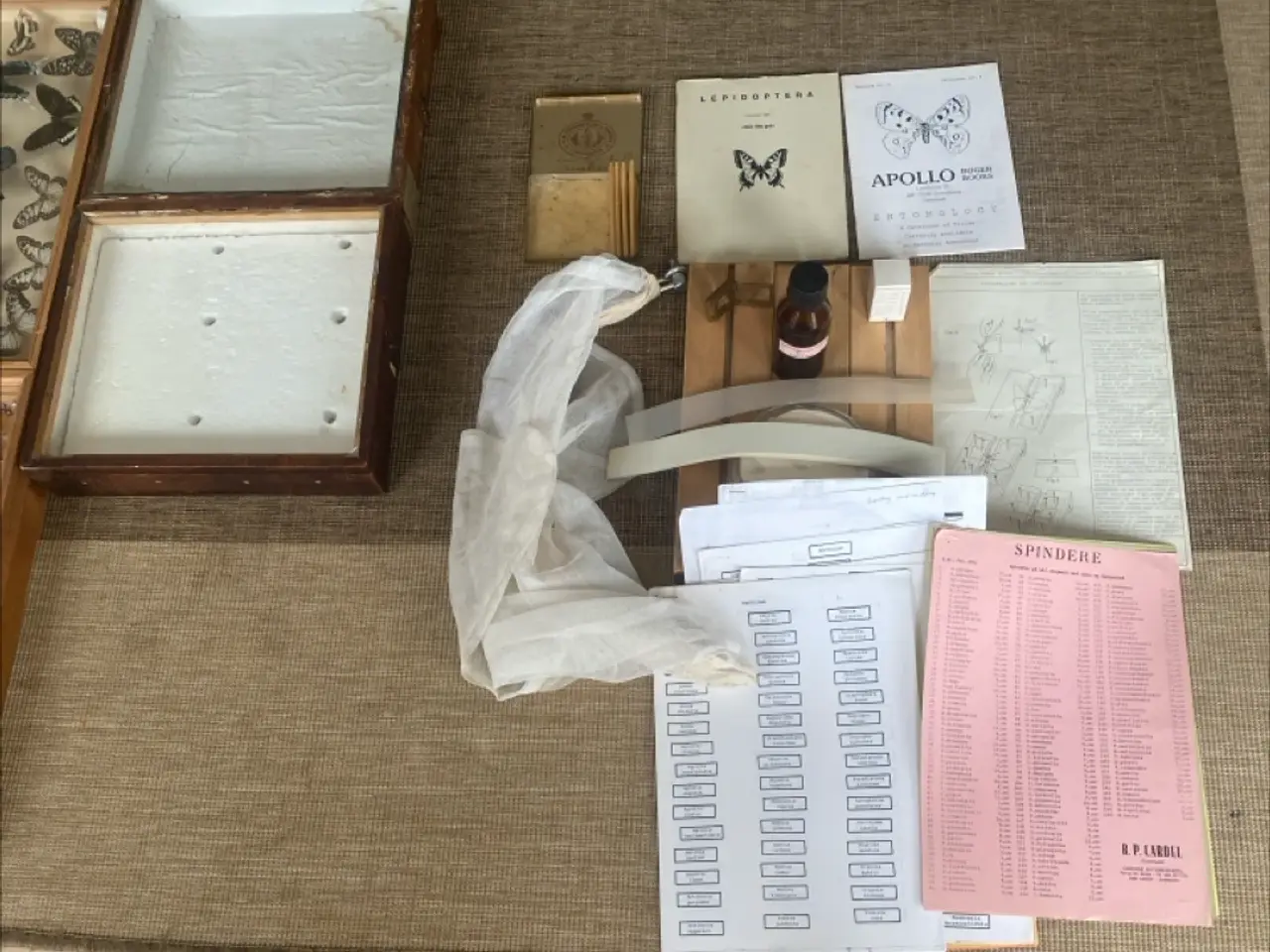 Billede 3 - Sommerfugle samling mv.