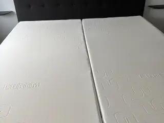 Elevationsseng