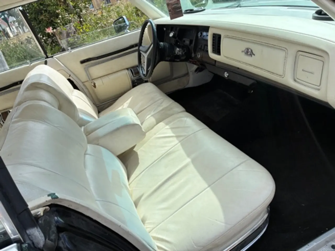Billede 15 - Chrysler Newyorker 7,2 l.