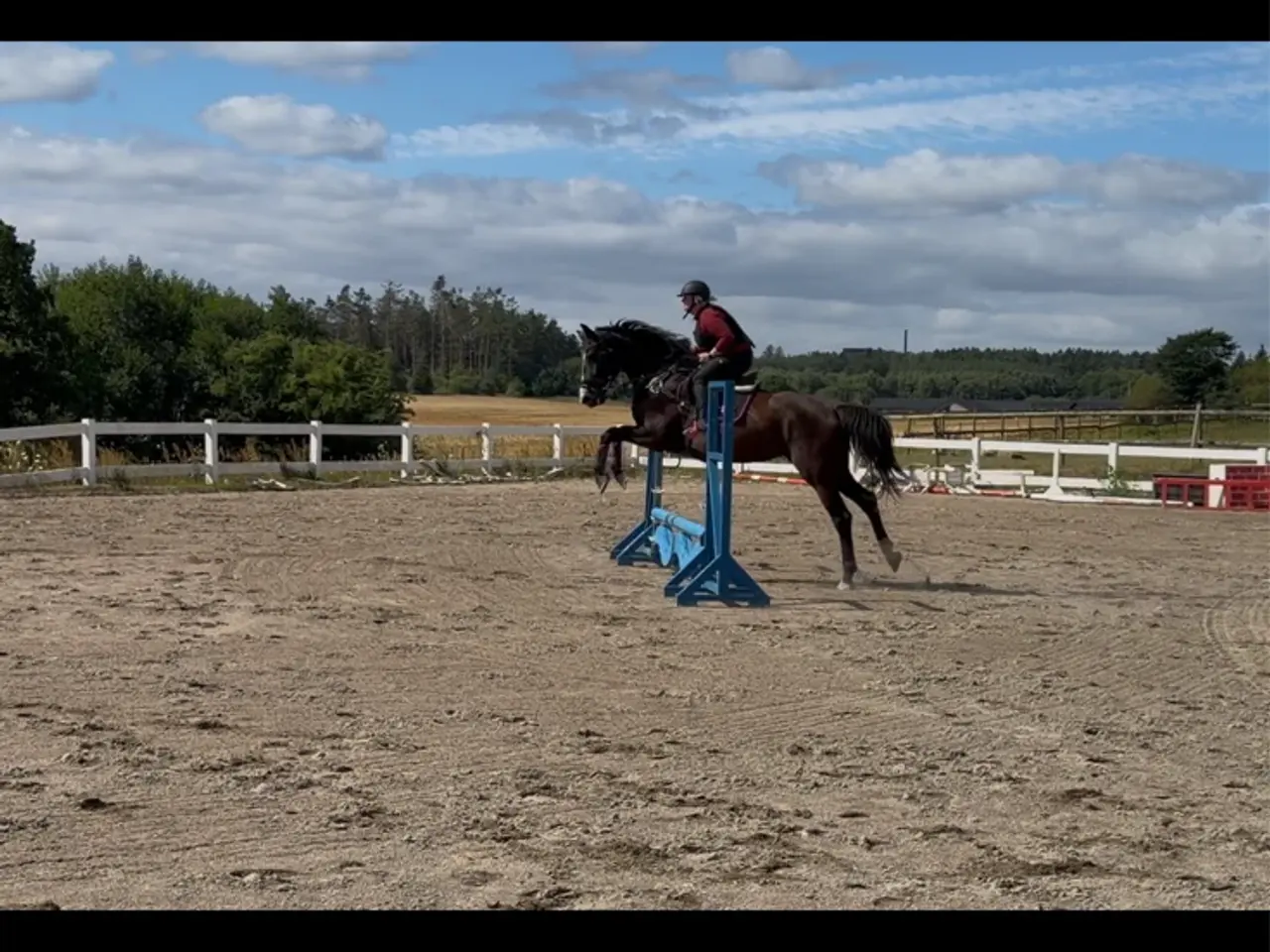 Billede 6 - 5 års hoppe efter Blue horse Kingston 