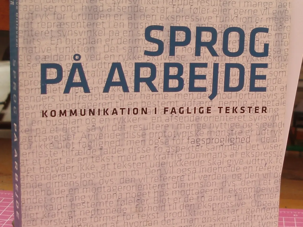 Billede 1 - Sprog på arbejde