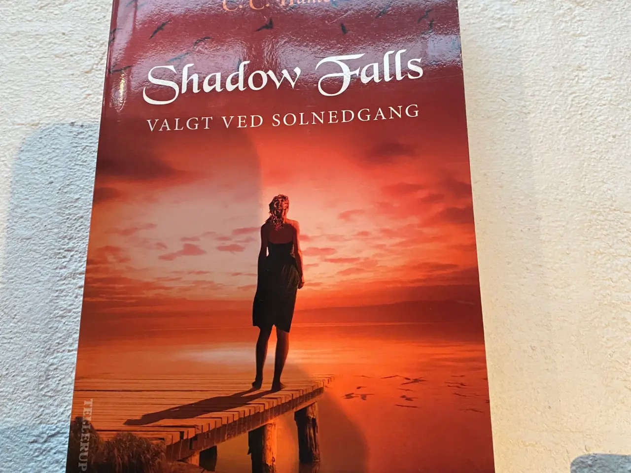 Billede 1 - Shadow falls 