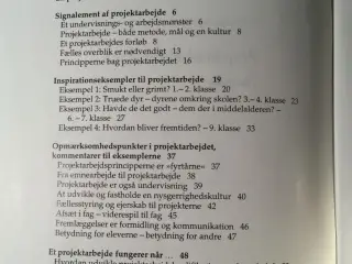 Projektarbejdsformen - En guide