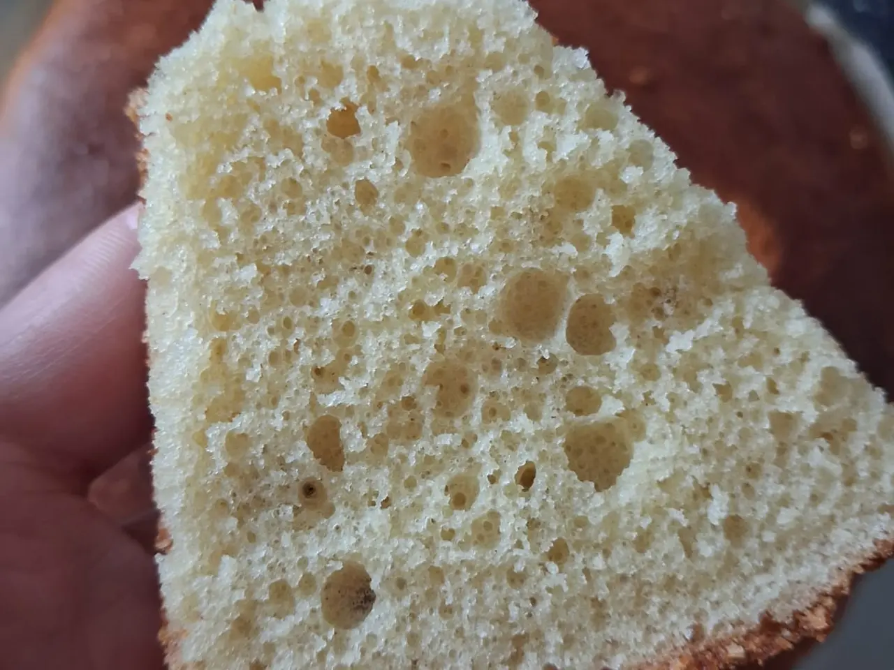 Billede 3 - Surdejsstarter til brødbagning + gratis focaccia-o