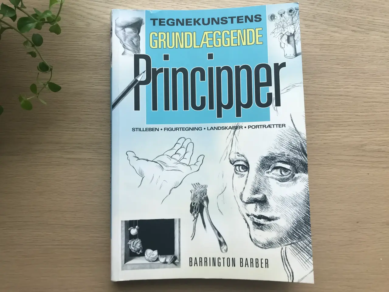 Billede 1 - Tegnekunstens Grundlæggende Principper