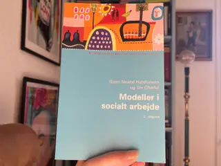 Modeller i socialt arbejde