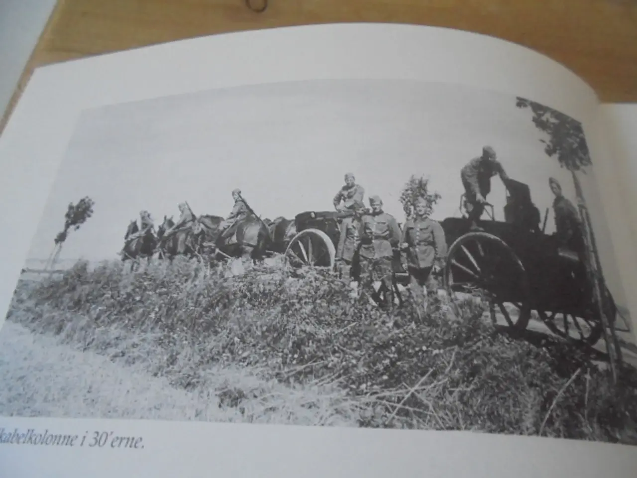 Billede 3 - Telegrafens’s Krønike – se fotos og omtale