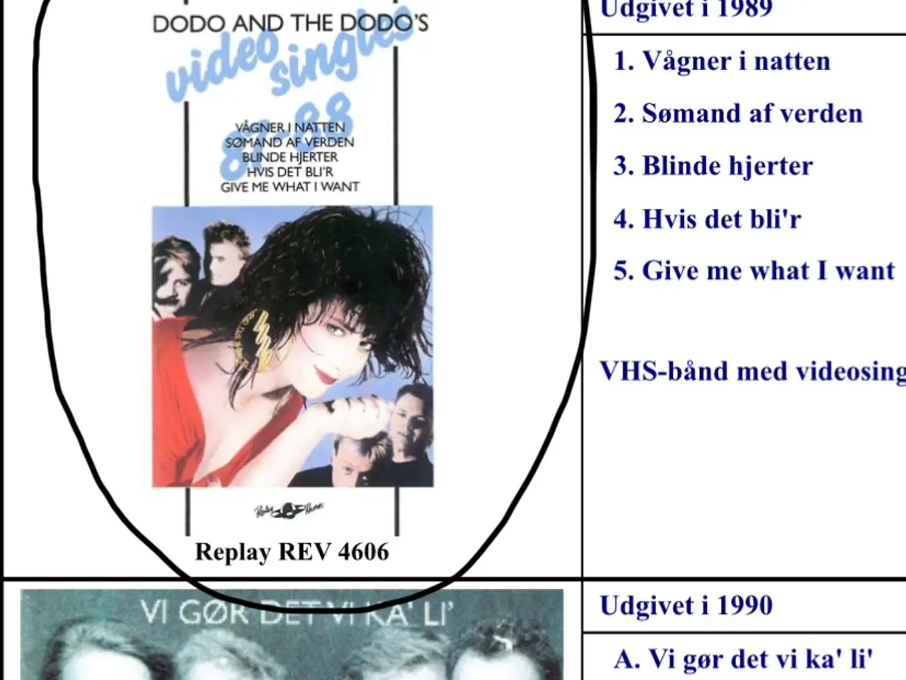 Billede 1 - Søger efter dette VHS bånd