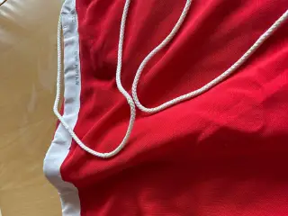 Flag, Dannebrog,nyt