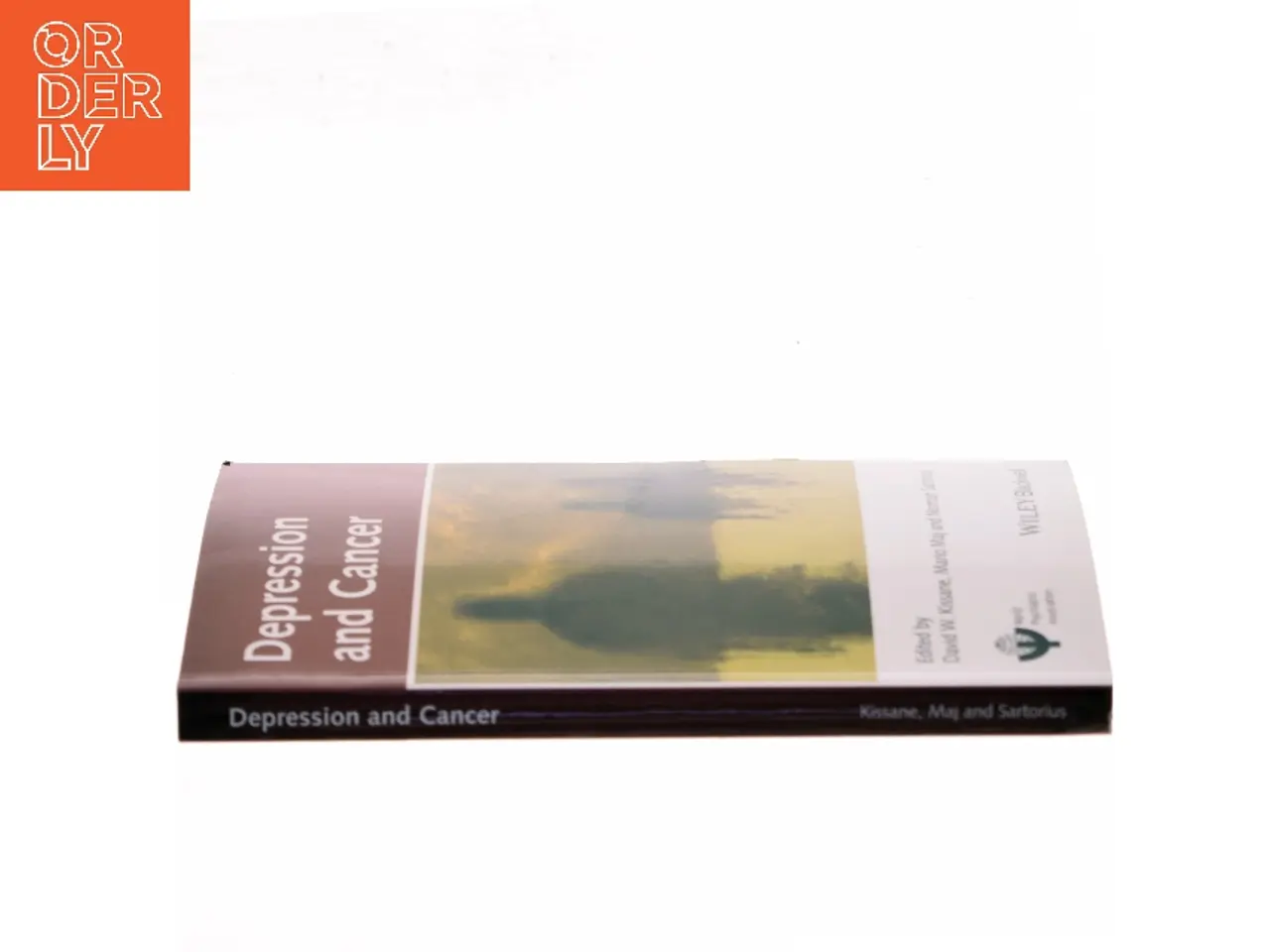 Billede 2 - Depression and Cancer (Bog)