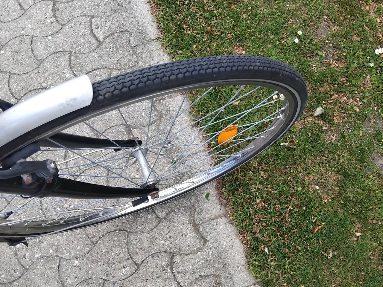 Billede 4 - Kildemoes