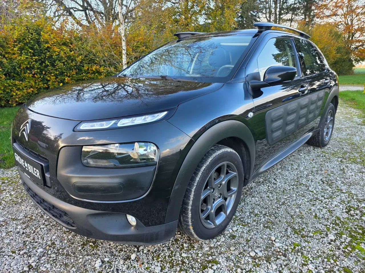 Billede 2 - Citroën C4 Cactus 1,6 BlueHDi 100 Shine Van
