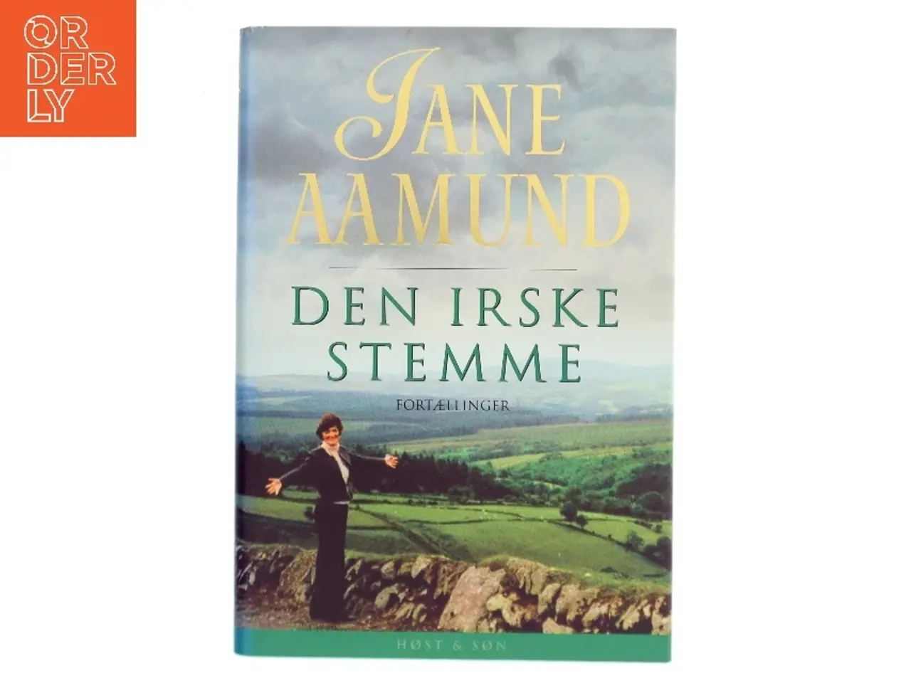 Billede 1 - Den irske stemme : fortællinger af Jane Aamund (Bog)