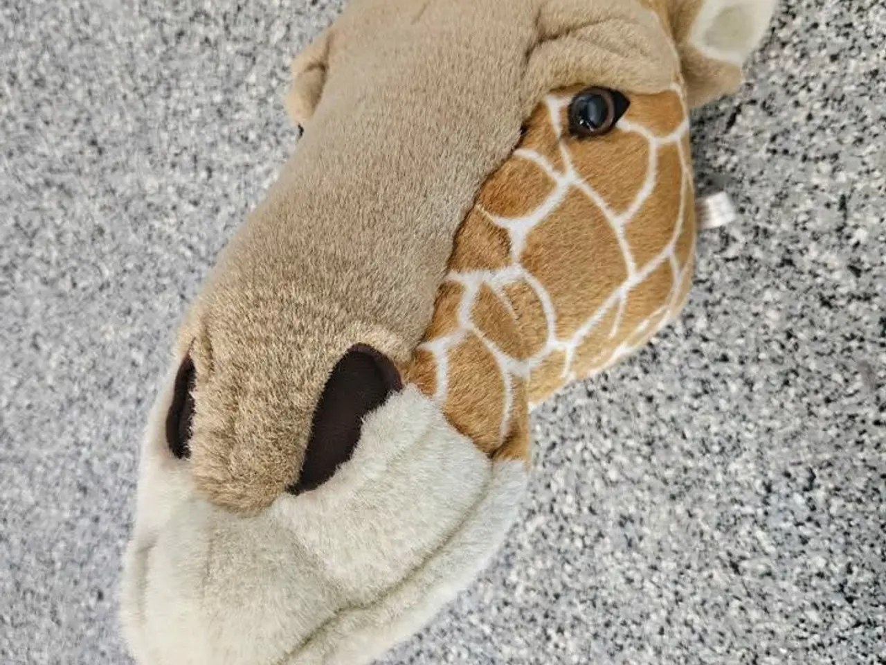 Billede 1 - Dyretrofæ Girafhoved