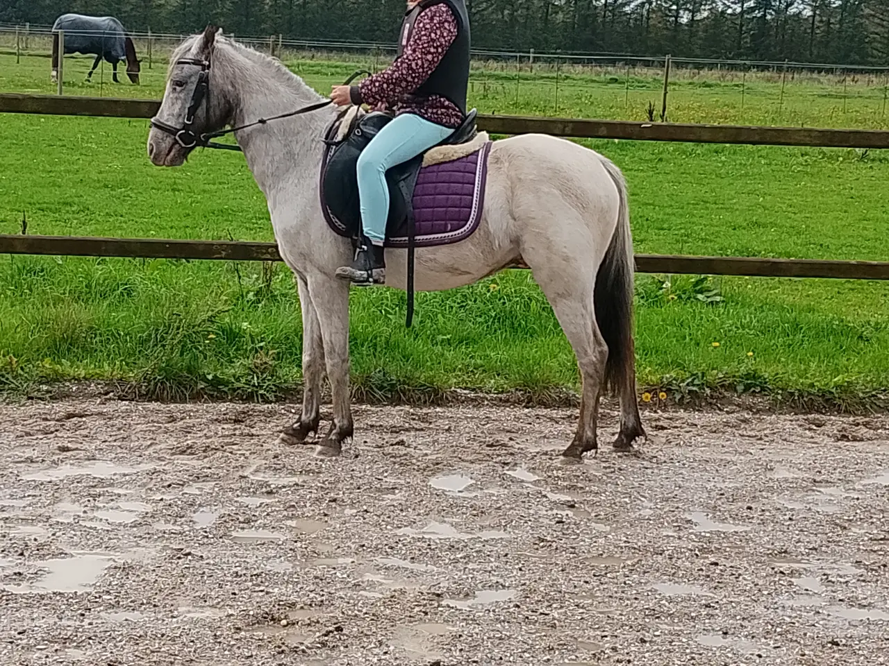 Billede 1 - Smart 3'er pony