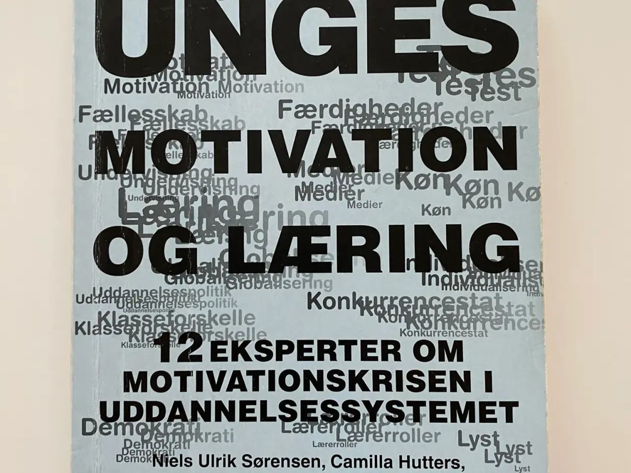 Billede 1 - Unges motivation og læring 