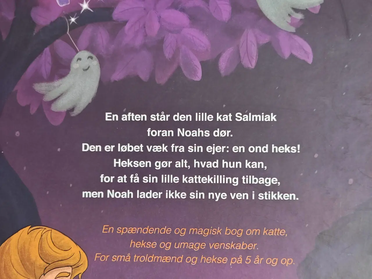 Billede 2 - Den lille troldkat BOG Heksens Kat