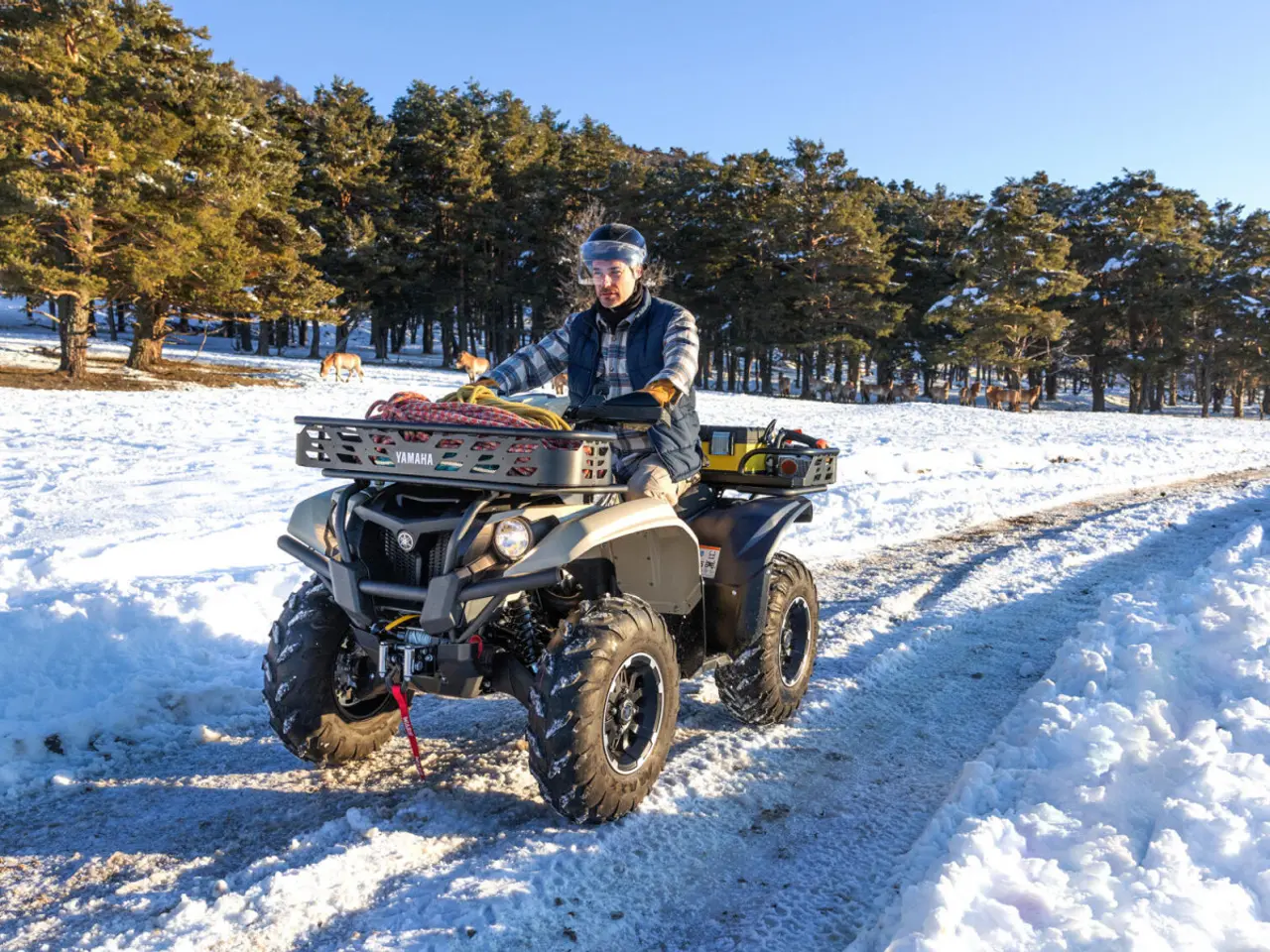 Billede 7 - Yamaha Kodiak 700 EPS Kiwami