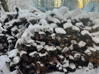 Brænde