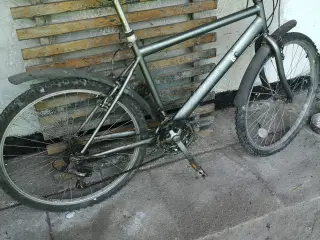 cykel