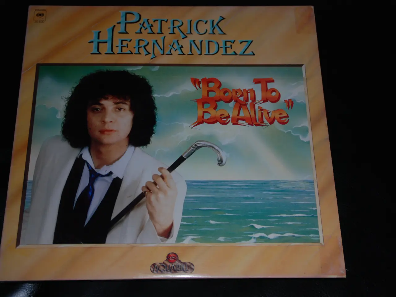 Billede 1 - Lp - Patrick Hernandez