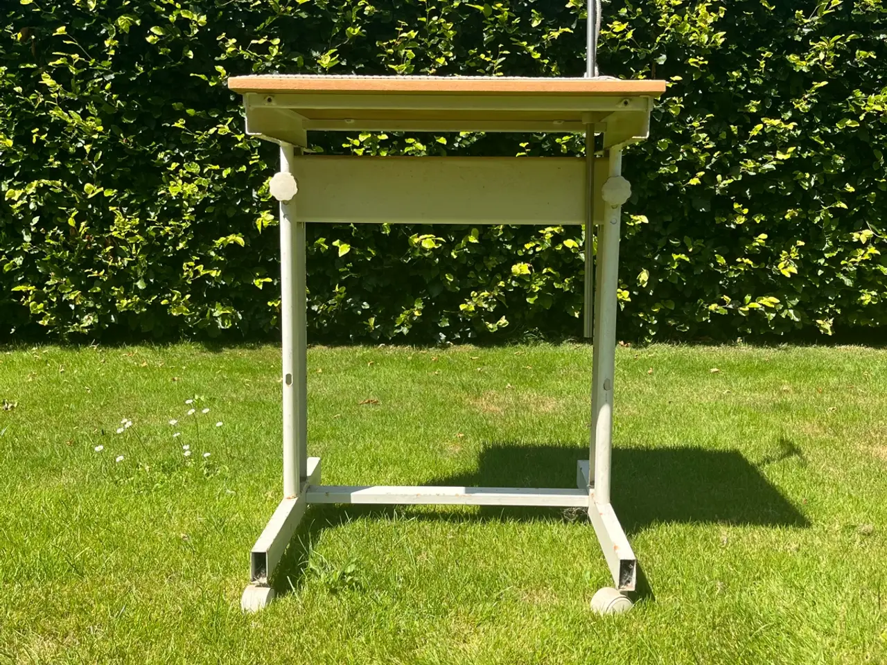 Billede 1 - Trimmebord til hund eller kat