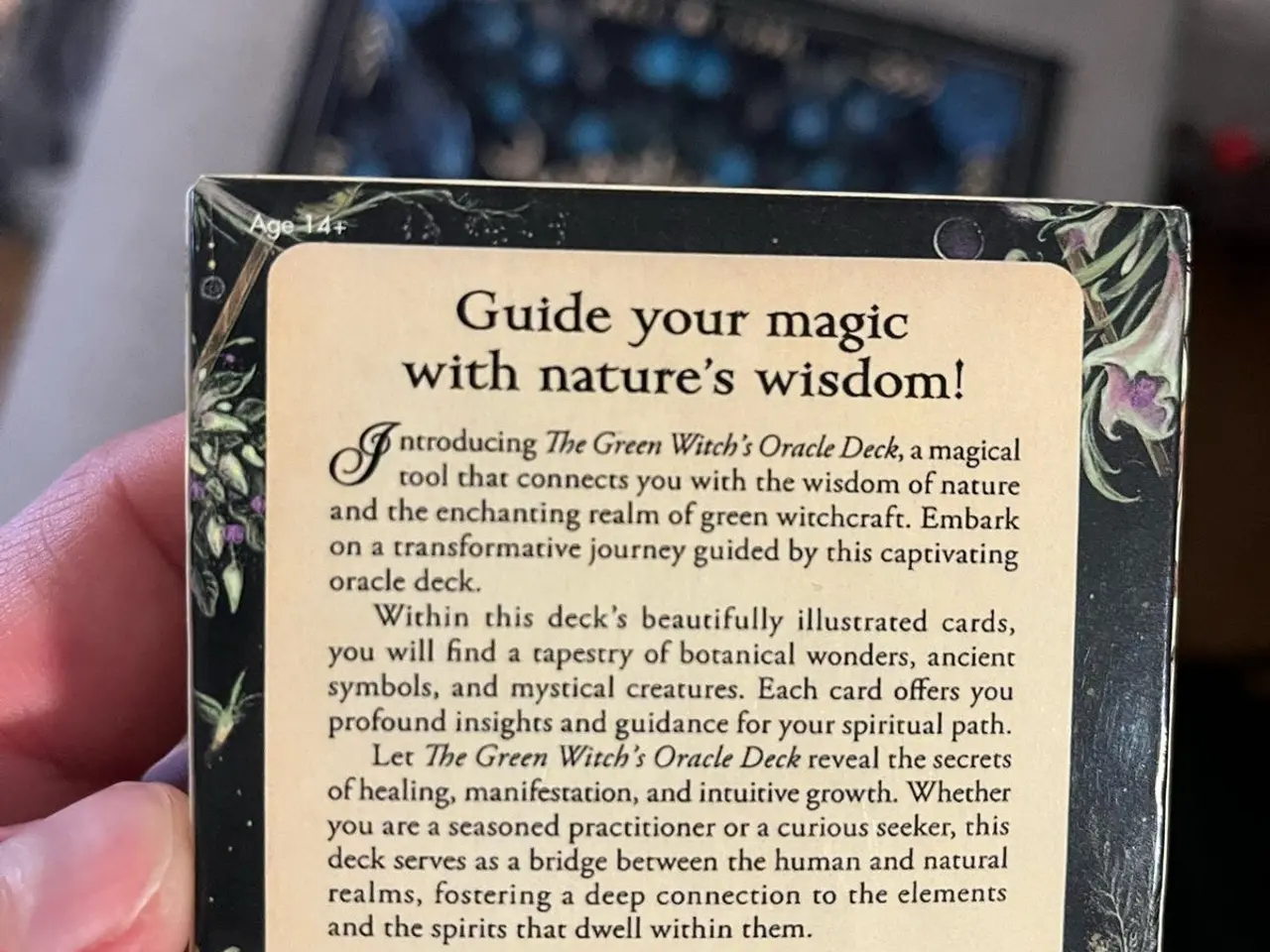Billede 3 - The Green Witch's Oracle Deck