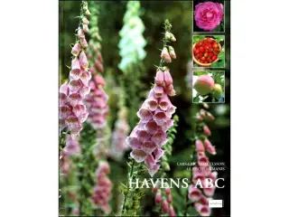 Havens ABC