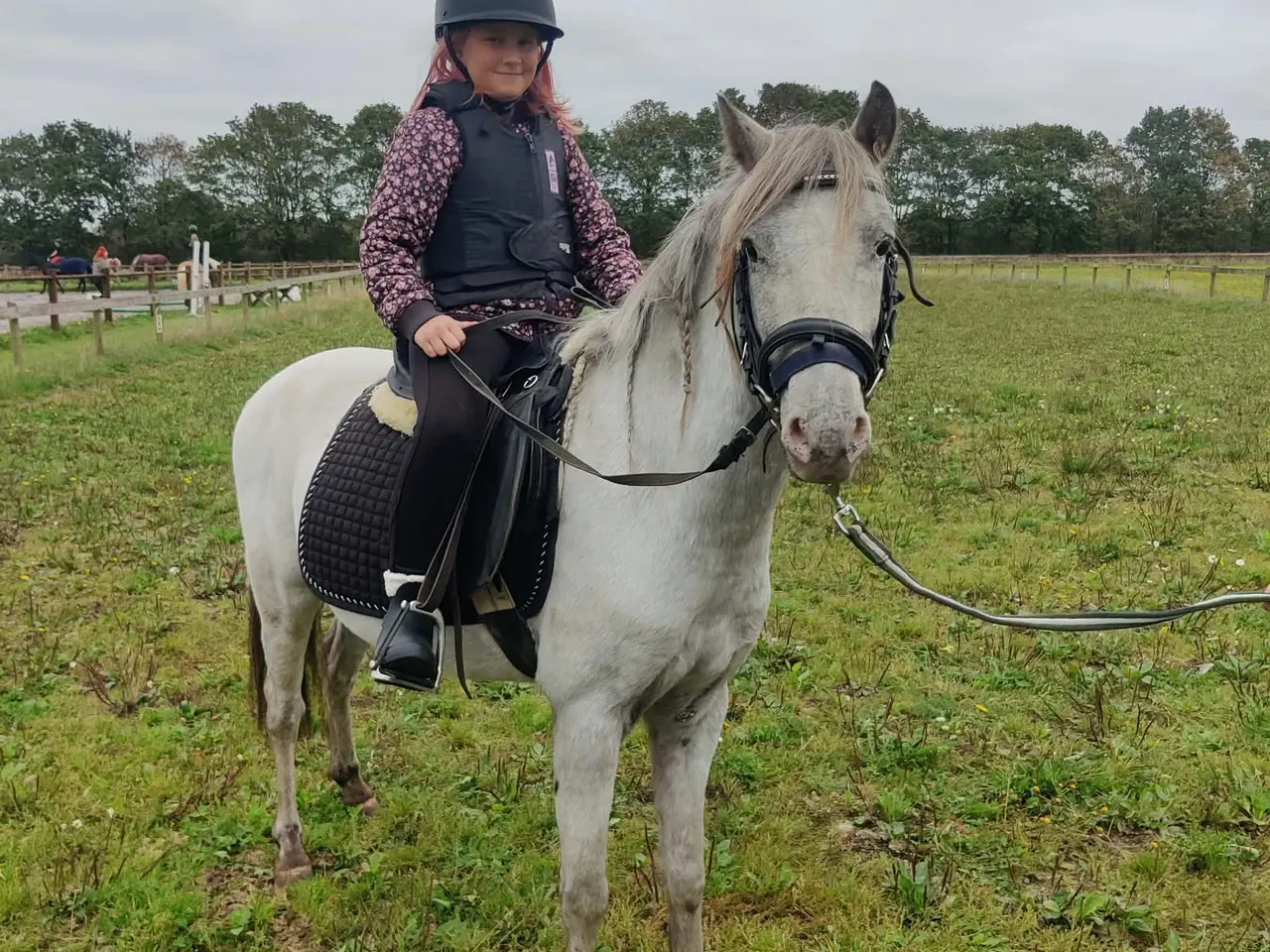 Billede 6 - Smart 3'er pony