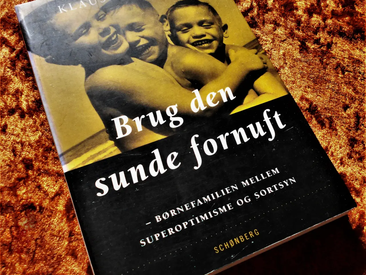 Billede 1 - Brug den sunde fornuft, Klaus Wilmann