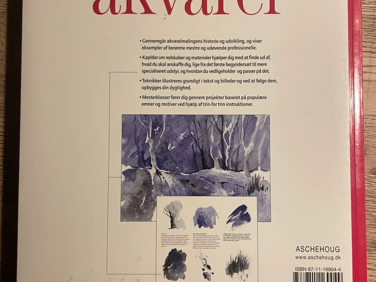 Billede 2 - Grundbog i Akvarel, Curtis Tappenden