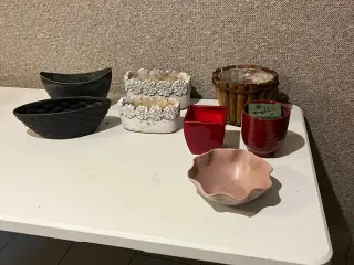 Mange ting til og plante i