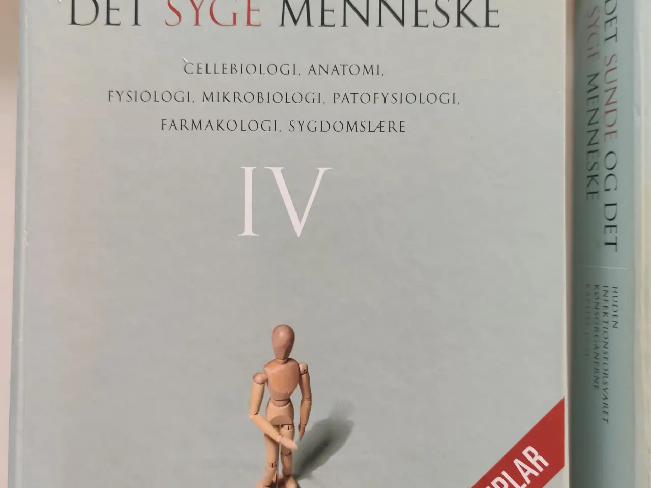 Billede 5 - Det sunde og det syge menneske - 1, 2, 3, 4, 5.