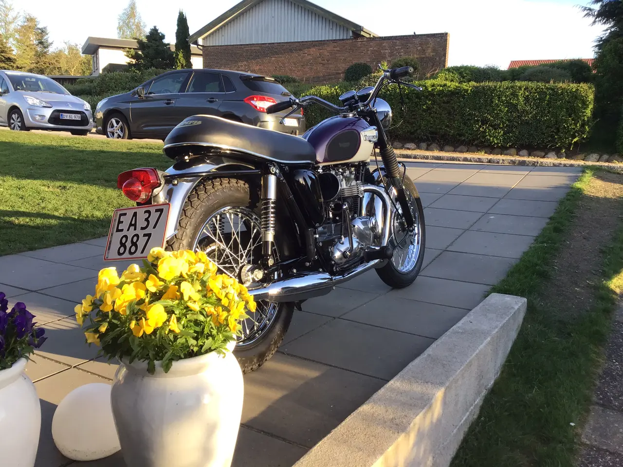 Billede 7 - Triumph Bonneville T120
