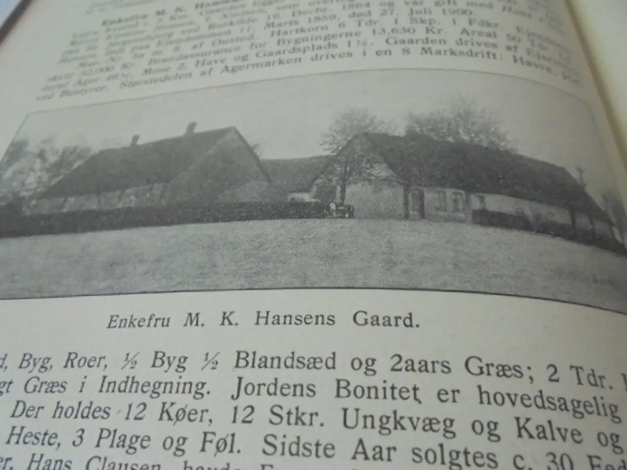 Billede 4 - Gamle Gaarde – III Samling – stort værk fra 1915