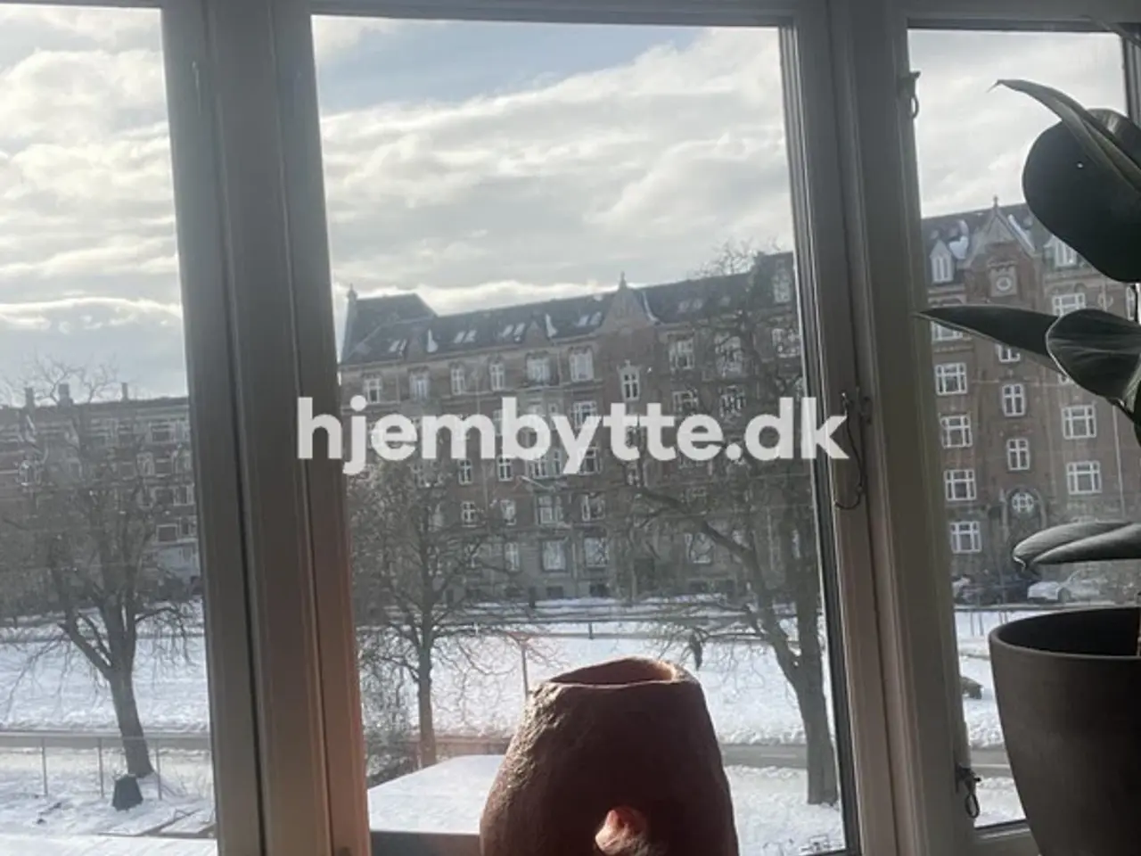 Billede 4 - Hjembytte - Rantzausgade