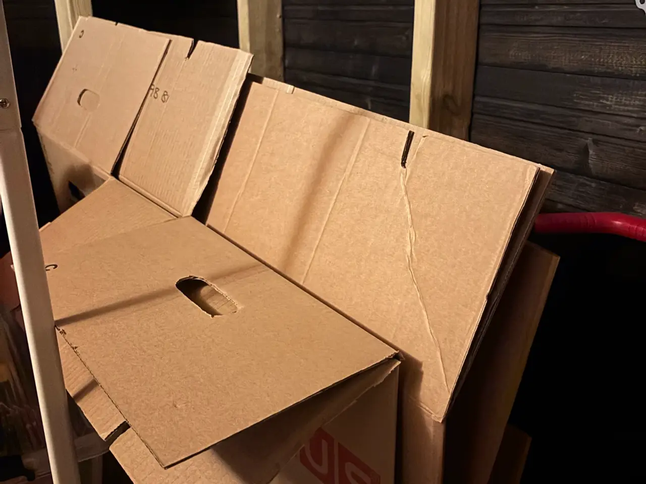Billede 1 - 4 flyttekasser 