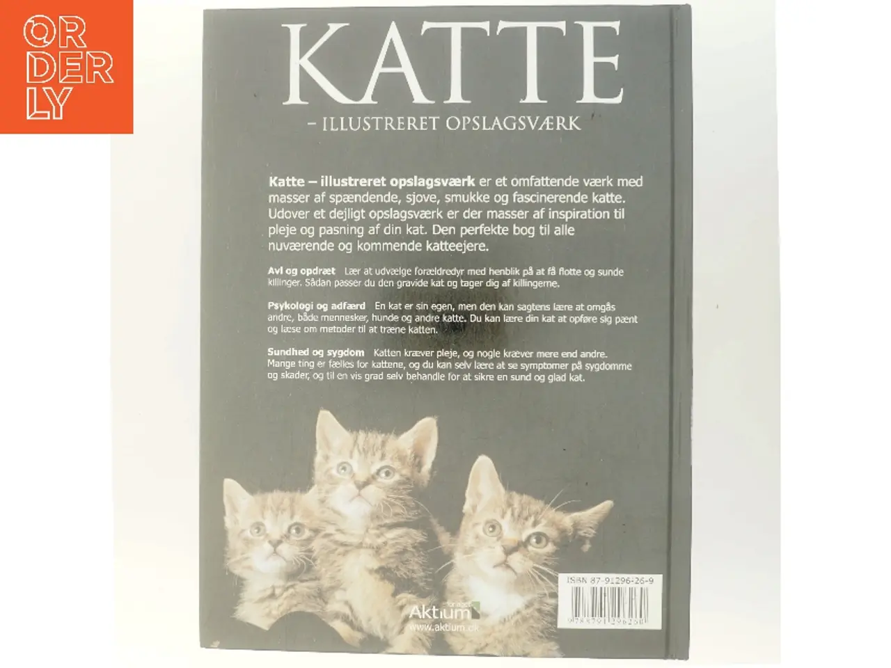 Billede 3 - Katte : illustreret opslagsværk af Lin Esposito (Bog)