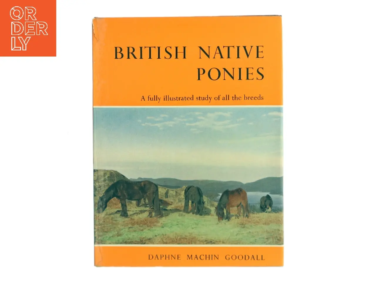 Billede 1 - British Native Ponies af Daphne Machin Goodall (Bog)