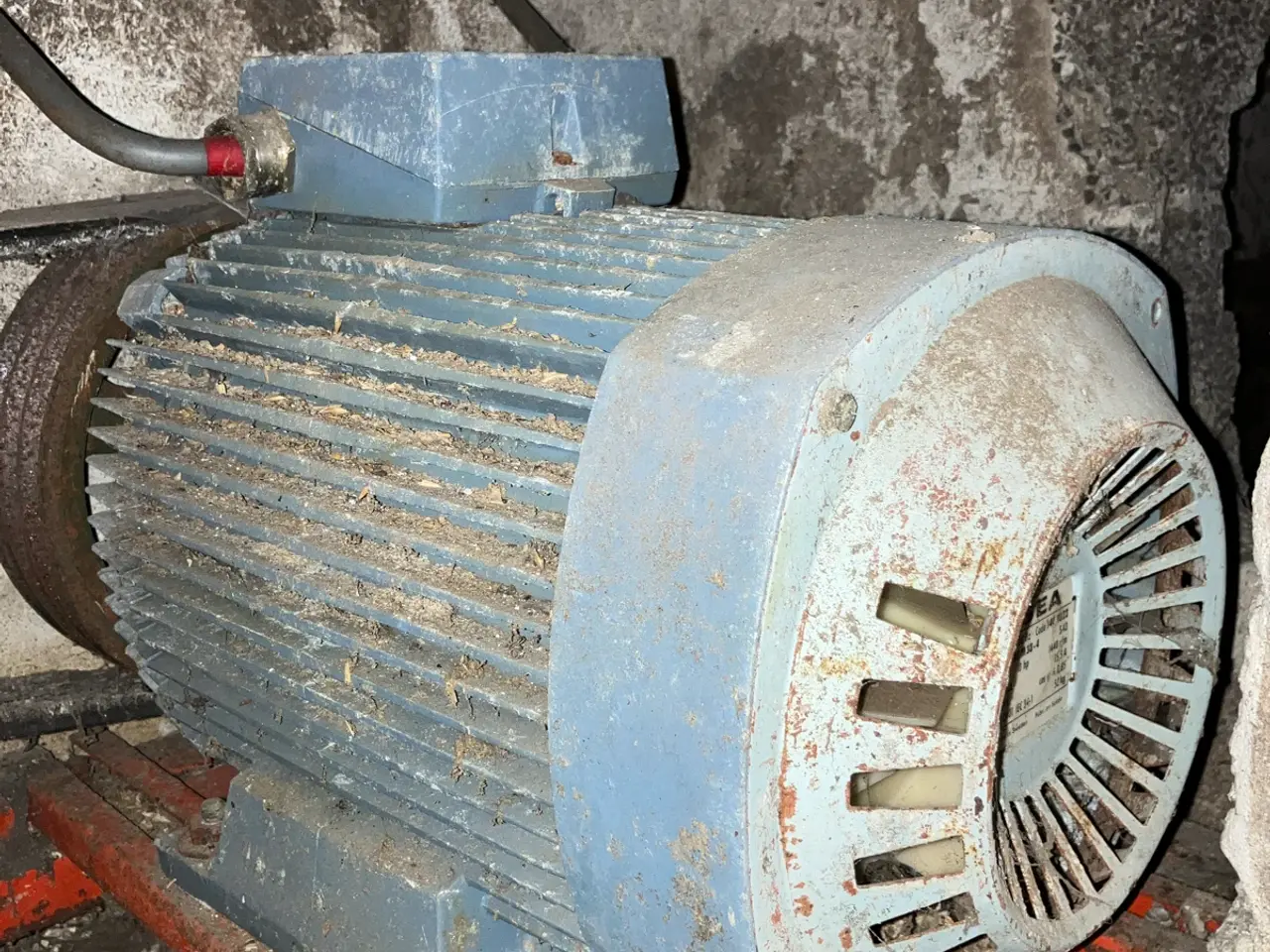 Billede 1 - 10 HK ASEA el motor