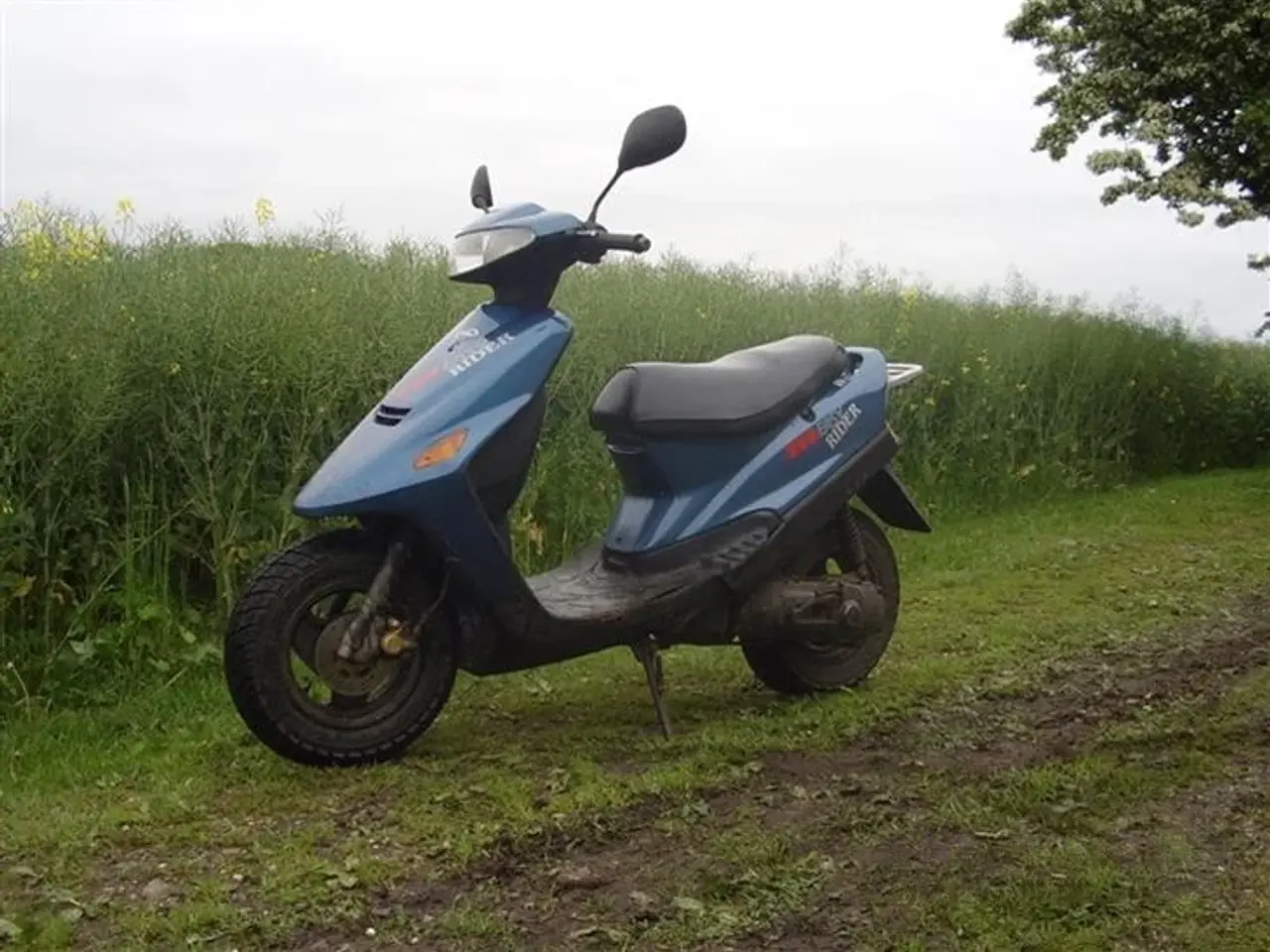 Billede 2 - Kreidler Easy Rider